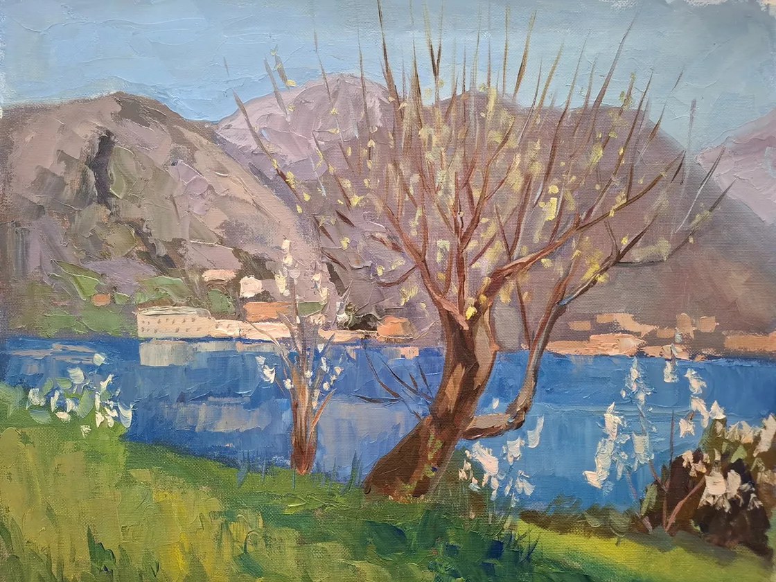 Spring on Lake. Blooming tree